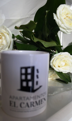 Imagen de la habitación del Apartamentos Carmen, Alicante. Foto 7