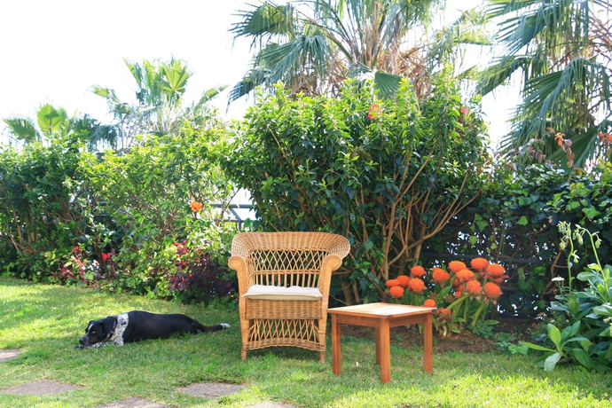 Imagen general del Apartamentos Casa Do Papagaio Verde. Foto 3