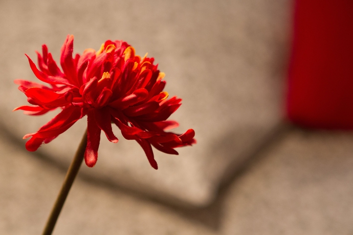 Imagen de los interiores del Apartamentos Casa Montalbán Apartamentos Turísticos. Foto 19