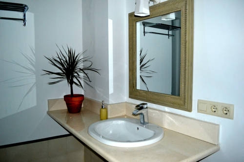 Imagen general del Apartamentos Casas y Patios de Sevilla. Foto 13