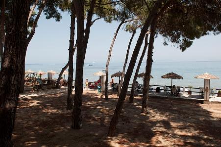 Imagen de la habitación del Apartamentos Castello Beach, Argassi. Foto 5