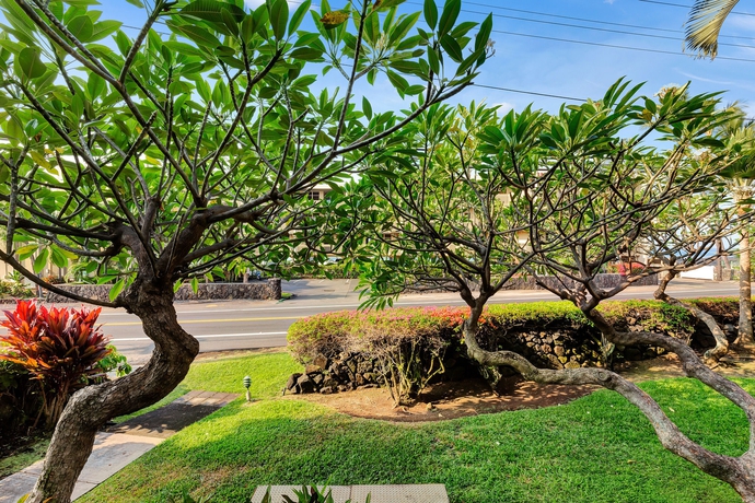 Imagen de los exteriores del Apartamentos Castle Kona Bali Kai. Foto 8