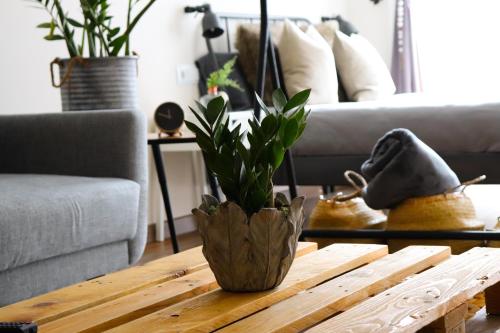 Imagen general del Apartamentos Celta Home. Foto 2