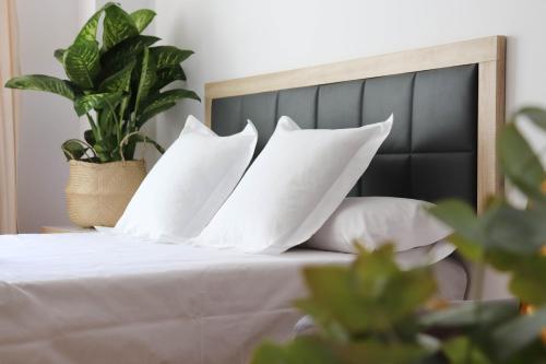 Imagen de la habitación del Apartamentos Celta Home. Foto 4