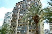 Imagen general del Apartamentos Cenit, Benidorm Centro. Foto 5