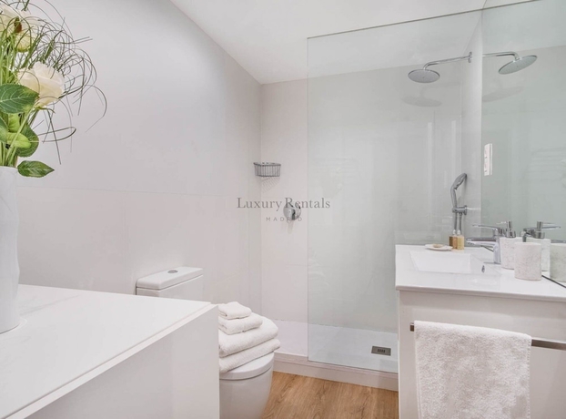 Imagen de los interiores del Apartamentos Centro Colon. Foto 10