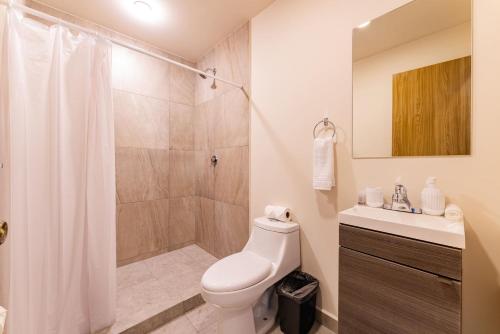 Imagen de la habitación del Apartamentos Chapultepec 264. Foto 1