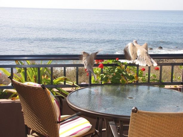 Imagen de la habitación del Apartamentos Chijeré Faro del Inglés. Foto 7