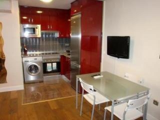 Imagen general del Apartamentos Chueca 1. Foto 7