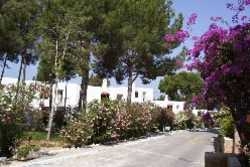 Imagen de los exteriores del Apartamentos Club Aquarium. Foto 7