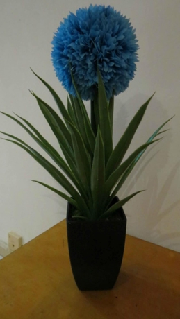 Imagen de la habitación del Apartamentos Comet Suites Elvira. Foto 15