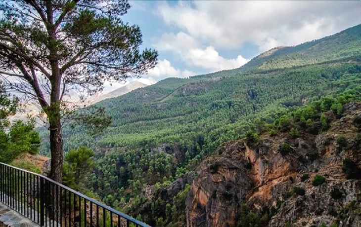 Imagen de los exteriores del Apartamentos Cortijo Del Alc&Aacute;zar. Foto 14