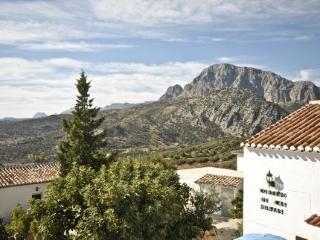 Imagen general del Apartamentos Cortijo Las Monjas. Foto 5