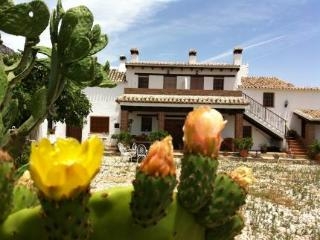 Imagen general del Apartamentos Cortijo Las Monjas. Foto 8