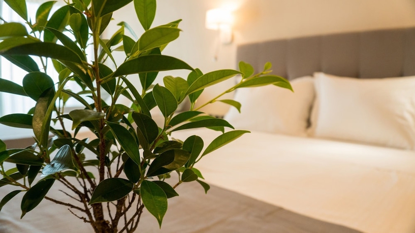 Imagen de la habitación del Apartamentos Costa Domus Blue Luxury Apartments. Foto 11