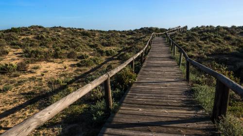 Imagen general del Apartamentos Costaluz Punta Umbria. Foto 7