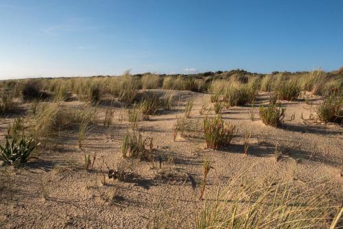 Imagen general del Apartamentos Costaluz Punta Umbria. Foto 8