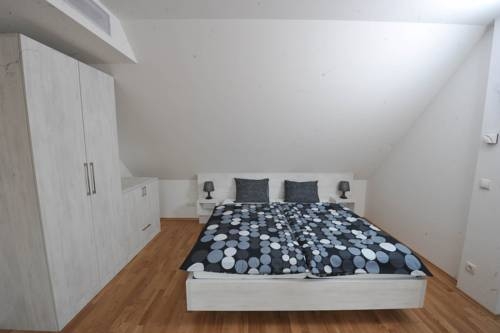 Imagen general del Apartamentos Debo Apartments Lackierergasse. Foto 5