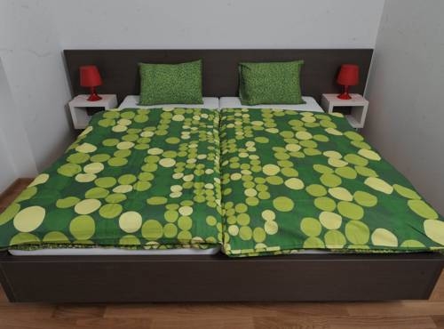 Imagen general del Apartamentos Debo Apartments Lackierergasse. Foto 24