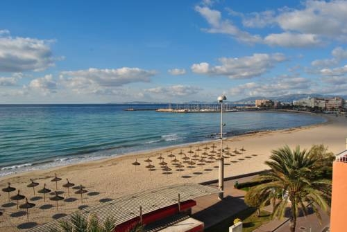 Imagen general del Apartamentos Delfin, Playa de Palma. Foto 8