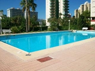 Imagen de la piscina del Apartamentos Don Chimo - Danio. Foto 7