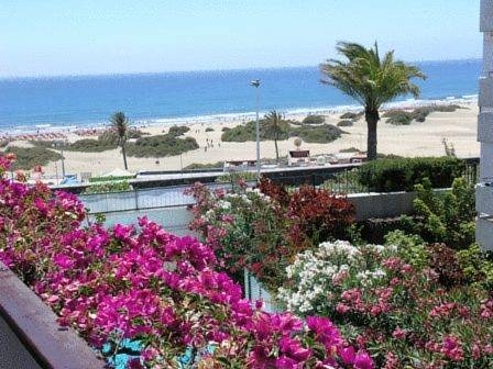 Imagen general del Apartamentos Don Palomon. Foto 2