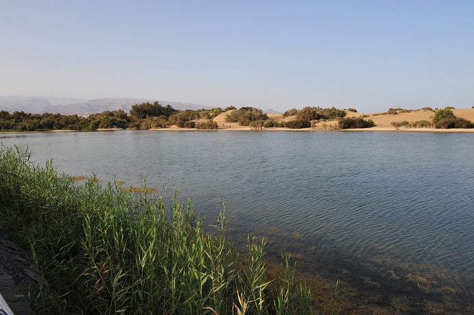 Imagen de los exteriores del Apartamentos Dorotea, Playa del Inglés. Foto 6
