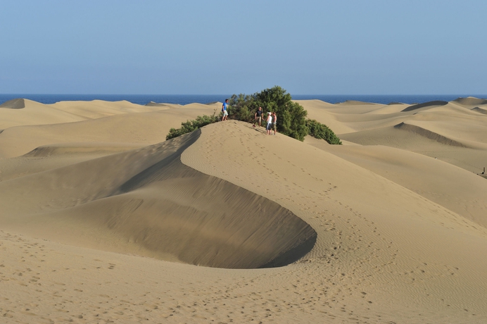 Imagen de los exteriores del Apartamentos Dorotea, Playa del Inglés. Foto 7