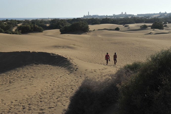 Imagen de los exteriores del Apartamentos Dorotea, Playa del Inglés. Foto 8