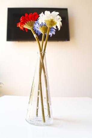 Imagen de la habitación del Apartamentos Down Town 13. Foto 14