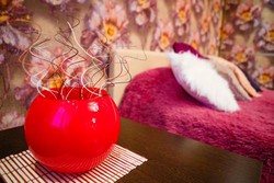 Imagen general del Apartamentos Dream Place. Foto 3