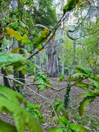 Imagen general del Apartamentos Duerming Ría De Viveiro. Foto 12