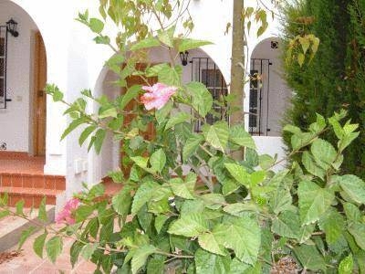 Imagen general del Apartamentos El Gran Gonzalez. Foto 5