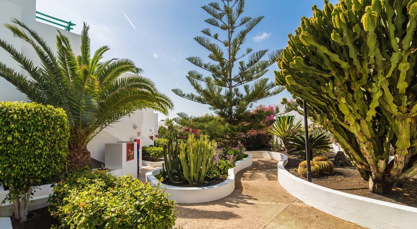 Imagen de los exteriores del Apartamentos El Guarapo. Foto 10