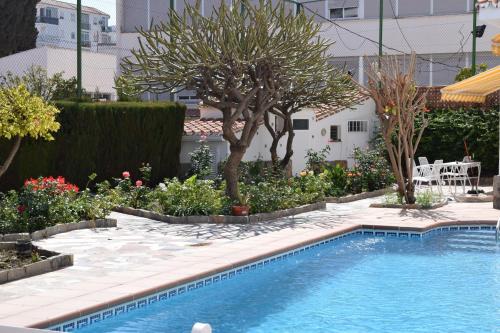 Imagen de la habitación del Apartamentos El Jardin BeNerja. Foto 3