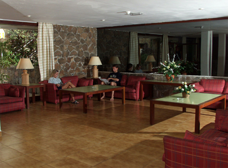 Imagen general del Apartamentos El Palmeral, Maspalomas. Foto 2