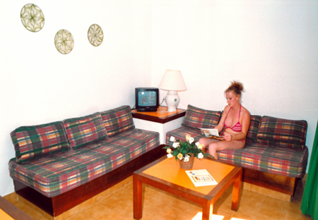 Imagen general del Apartamentos El Palmeral, Maspalomas. Foto 3