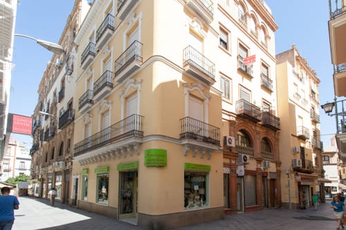 Imagen general del Apartamentos El Salvador, Sevilla. Foto 15