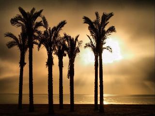 Imagen general del Apartamentos Estrella de Mar. Foto 9