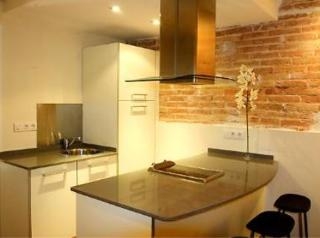 Imagen general del Apartamentos Feelathome Gaudi. Foto 2