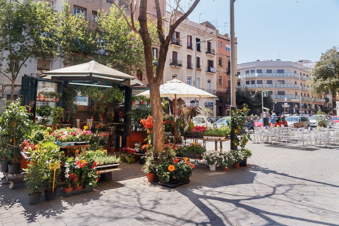 Imagen de los exteriores del Apartamentos Feelathome Plaza. Foto 9