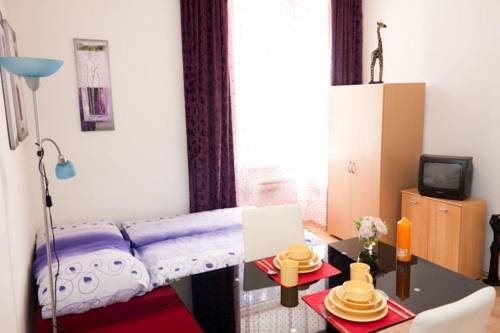 Imagen general del Apartamentos Ferienapartments Randhartingergasse 12. Foto 42