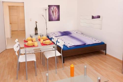 Imagen general del Apartamentos Ferienapartments Randhartingergasse 12. Foto 49