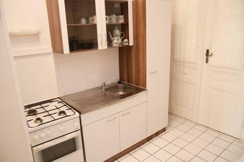 Imagen general del Apartamentos Ferienapartments Randhartingergasse 12. Foto 60