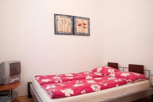 Imagen general del Apartamentos Ferienapartments Randhartingergasse 12. Foto 99