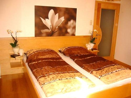 Imagen general del Apartamentos Ferienhaus Anger. Foto 5