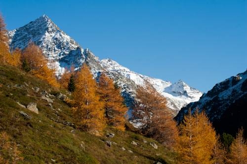 Imagen general del Apartamentos Ferienwohnung Scheiber. Foto 3