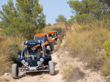 Imagen general del Apartamentos Finca Del Olmo Hospederia Rural. Foto 3