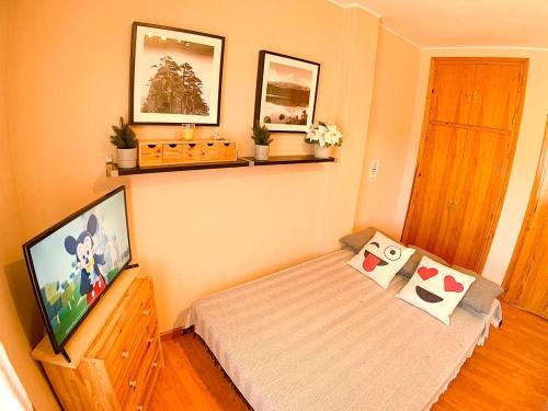 Imagen de la habitación del Apartamentos Formigal - Admite mascotas, Sallent de Gallego. Foto 11