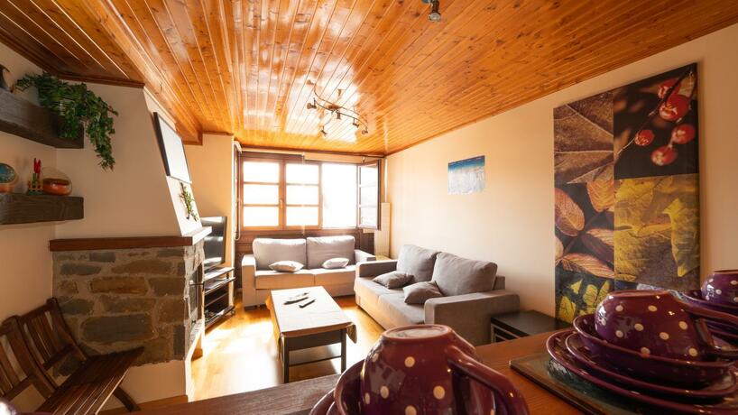 Imagen general del Apartamentos Formigal. Foto 17